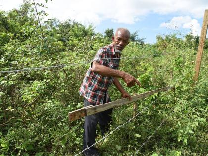 Sixty-eight-year-old Willie Rowe points to a section of land that he bought from the National Housing Trust and is now fenced off by another state entity.