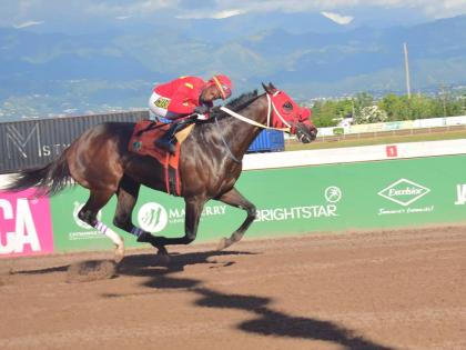 
PACK PLAYS, ridden by Christopher Mamdeen, wins the Eileen Cliggott Memorial Trophy over six and a half furlongs at Caymanas Park yesterday.