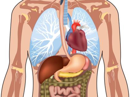 Maintaining good gut health is fundational to physical, mental, and metabolic health.