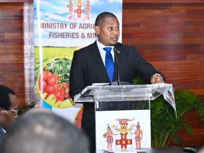 Minister of Agriculture, Fisheries and Mining, Floyd Green, provides an update on the agriculture sector’s recovery from Hurricane Melissa at a press briefing held at the Ministry’s head office in Hope Gardens in St Andrew on January 20. 