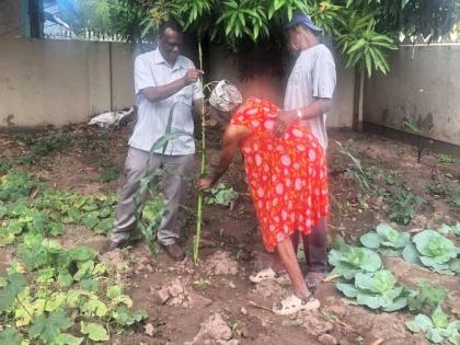 Resident of Safe Haven Nursing Home Hazel Clarke (centre), who is 82 years old, with Reginal David (right) and Dr Lorenzo Gordon at the home’s kitchen garden.