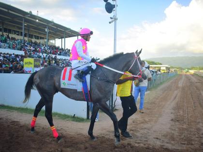 RIDEALLDAY, with overseas-based jockey Javier Castellano in the saddle, is led onto the racetrack to contest the fourth running of the MOUTTET Mile over eight furlongs at Caymanas Park on December 6, 2025. RIDEALLDAY won the prestigious event.