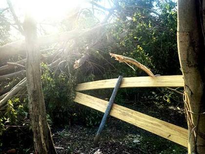 Hurricane damage at Jamaica Zoo. 