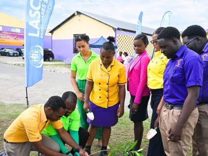 Pembroke Hall High School received fruit trees through the LEPCCU Tree Planting Initiative to support the school’s Beautification Project. Donated plants included ackee, apple, Java plum, seagrape, and foxtail.