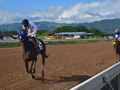 Front-running NEO STAR should start favourite against the top-weight carrying, but speedy DON KWESI. 