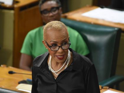 Minister of Finance, Fayval William. - File photo.