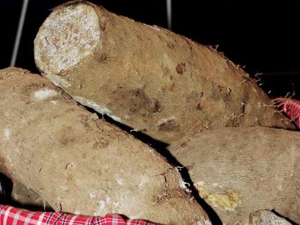 Yam