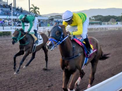Anthony Minott/Freelance Photographer 
COMMANDER Z (right), ridden by veteran jockey Ian Spence, running at odds of 11-1, wins the fourth running of the Kaz Hoshay Trophy ahead of I DREAM AGAIN (Robert Halledeen) at Caymanas Park yesterday.