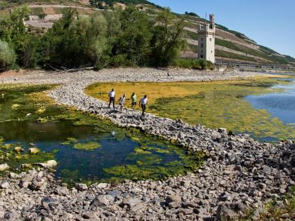 People walk over a stone dam, that is normally covered by water, towards the ‘Maeuseturm’ (mice tower) in the middle of the river Rhine in Bingen, Germany Monday.