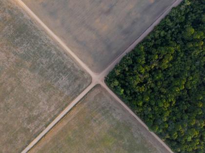 A section of the Amazon rainforest stands next to soy fields in Belterra, Para state, Brazil, on November 30, 2019.