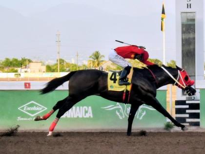 
PACK PLAYS, ridden by Emelio McLean, wins the NONE Such Sprint over six furlongs at Caymanas Park yesterday.