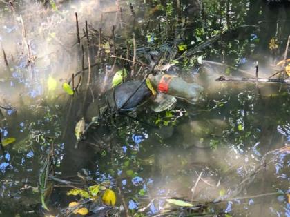 Plastic in a waterway in Trinidad & Tobago. 