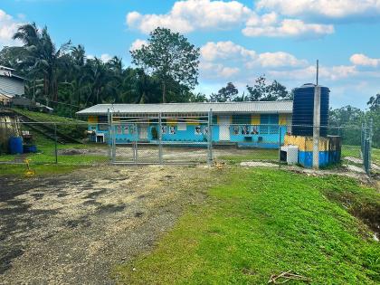 Reach Primary and Infant School in Portland, which benefited from the CHASE Fund’s perimeter fencing programme.