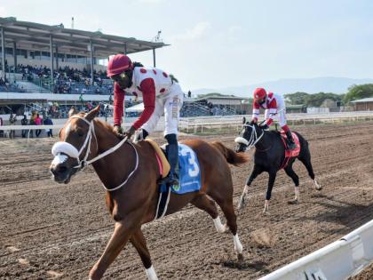 FORMALIST, ridden by Robert Halledeen, wins the Jamaica Jockeys’ Guild Trophy over 6-1/2 furlongs at Caymanas Park on Saturday, August 15,  2026