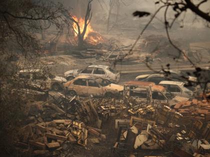 A wildfire burns through a forest in Jijel, Algeria, August 27.