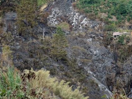 A fire, believed to have started in the early hours of August 26, escaped control and spread rapidly through the Westphalia regions in the Blue Mountains, a major coffee-producing area, which resulted in significant damage to farms, crops and properties. -