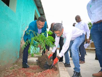 Prime Minister, Dr. Andrew Holness (left) is assisted by Councillor Caretaker, Seivwright Gardens Division, Everton Murray (centre) and Managing Director of Caribbean Cement Company Limited, Jorge Martinez (right) to plant a tree in one of the bricked spac