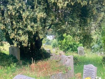 A section of the Falmouth Cemetery in Trelawny.