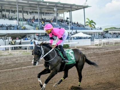 USA-bred horse PRINCE’S SPUR, ridden by Raddesh Roman, wins the Typewriter Trophy over 7 1/2 furlongs at Caymanas Park Sunday, September 27.