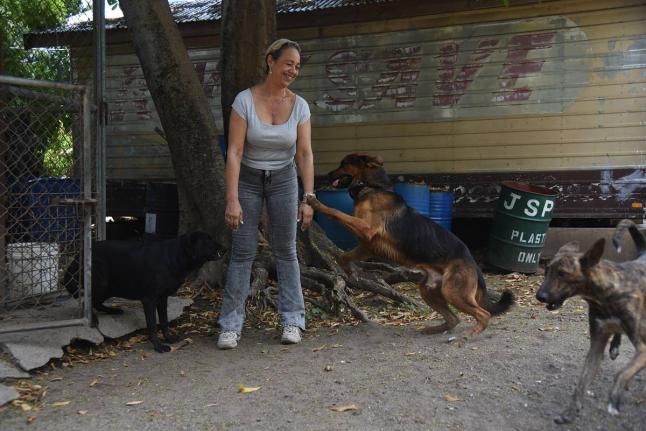Pamela Lawson, Managing Director, of the JSPCA in St Andrew, plays with some of the dogs on property during a visit on Saturday.