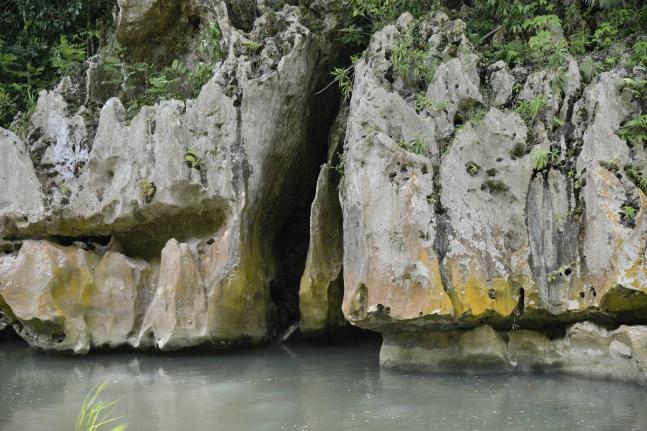 The river flows by Pim Rock in the Bog Walk Gorge, St Catherine.