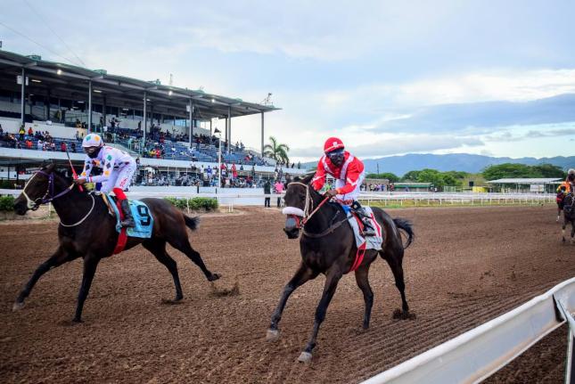 UNSPUN (left), ridden by Richie Shakes, wins the ninth race over six furlongs ahead of UNBELIEVABLE FORCE (Tajay Suckoo) at Caymanas Park on Saturday, May 3, 2025.