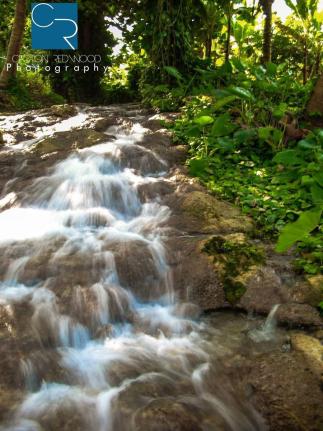 The UDC said it remains committed to engaging with the relevant authorities and stakeholders to develop a sustainable management framework for the site.