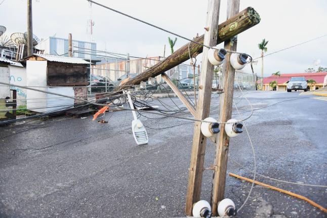 A JPS electricity pole on Nashville Avenue in Mandeville, Manchester, which snapped and fell during the passage of Hurricane Melissa.