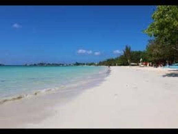 Tashella Sheri Amore Dickerson, 52, executive director of BLM Oklahoma faces up to 20 years in prison for each count of wire fraud and ten years for each count of money laundering.

