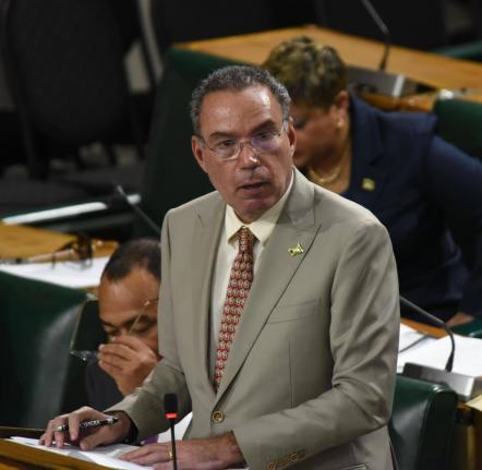 Minister of Energy Daryl Vaz speaking in Parliament on January 13, 2026.