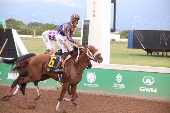 
Jockey Raddesh Roman (right) reacts after his mount, FERNANDO, nips ahead of the field to steal the Rimsky Trophy over six furlongs at Caymanas Park yesterday.