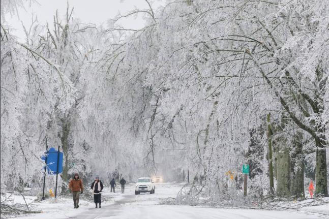 In this image provided by the City of Oxford, Miss., snow and ice cover trees and streets as a winter storm passes through on January 25, 2026, in Oxford, Mississippi. 