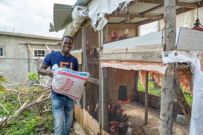 Nickoy Brady, a poultry farmer from Salt Spring, St James, works to restart his livelihood following Hurricane Melissa through Project STAR’s Business Restart Programme.