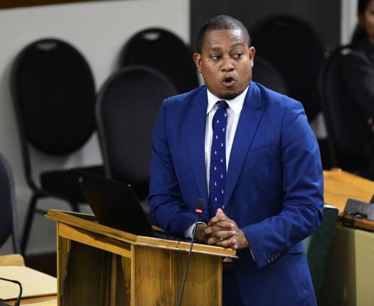Agriculture Minster Floyd Green ... Defence attorney Hugh Wildman launched repeated attacks on Green’s credibility yesterday as he challenged the minister’s account of what he claimed to have witnessed.