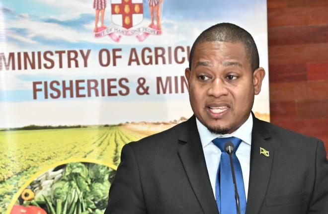 Floyd Green, minister of agriculture and prosecution witness. 