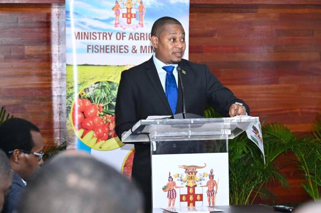 Minister of Agriculture, Fisheries and Mining, Floyd Green, provides an update on the agriculture sector’s recovery from Hurricane Melissa at a press briefing held at the Ministry’s head office in Hope Gardens in St Andrew on January 20. 