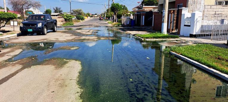 Sewage flowing on Debbie Avenue in Edgewater, Portmore, in May 2024.