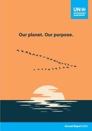 UNEP annual report