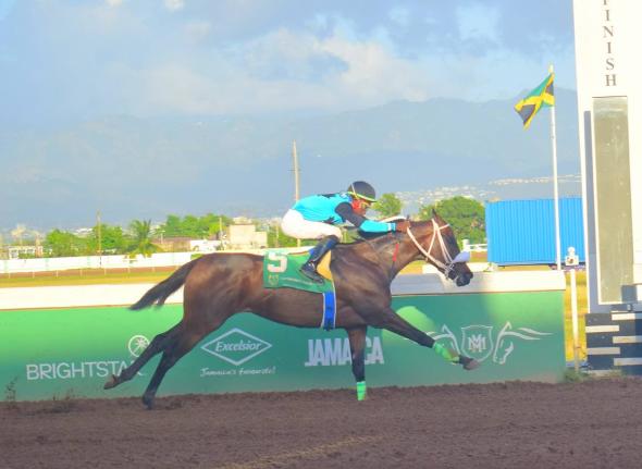
FLORINDIA, ridden by Tajay Suckoo, runs away with the The Allan E ‘Billy’ Williams Memorial Trophy over seven furlongs at Caymanas Park yesterday.