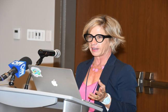Nancy Pinchas, executive director of the Council of Voluntary Social Services.