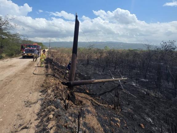 A JPS pole damaged by a bush fire in Portmore, St Catherine on August 10, 2026.