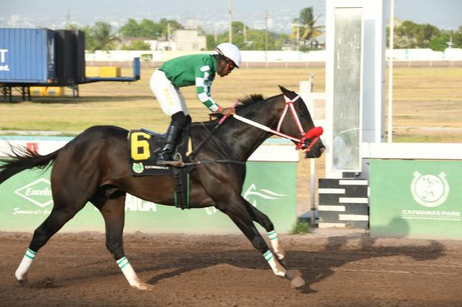 Anthony Minott/Freelance Photographer 
DON KWESI, with Jaheim Anderson aboard, though first past the post in the Poorlittlerichgirl, was disqualified for a weight infringement at Caymanas Park yesterday.  