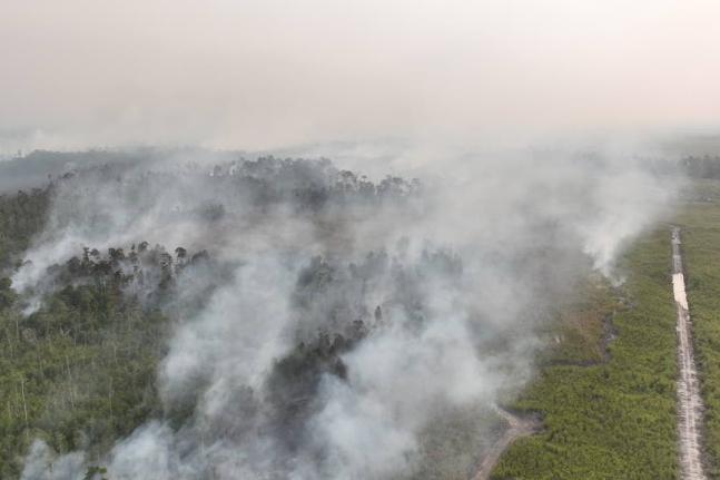 In this aerial photo relased by Indonesia's National Disaster Mitigation Agency (BNPB) on Friday, Aug. 21, 2026, smoke billows as a wildfire razes through a peatland forest in Bulungan, North Kalimantan, Indonesia. (BNPB via AP)