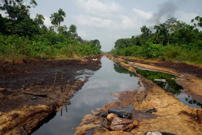 FILE - An oil spill is visible within the Niger Delta in Ogboinbiri, Nigeria, on Dec. 11, 2024. (AP Photo/Sunday Alamba)