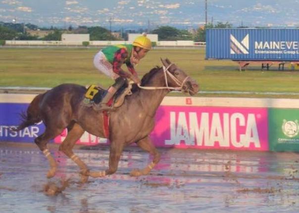 Of A Revolution in action during the Miracle Man Trophy on January 1.  