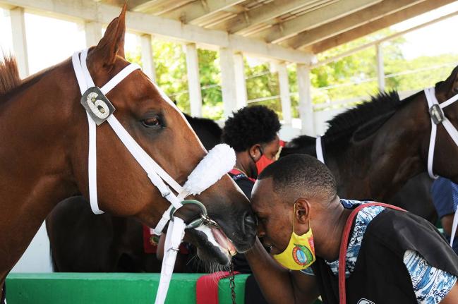 Groomsman Tefara Wright bonding with one of the many horses in his charge.