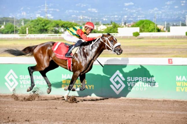 
BARNABY, ridden by Raddesh Roman, runs away with the Distinctly Irish Trophy over nine furlongs and 25 yards at Caymanas Park yesterday.