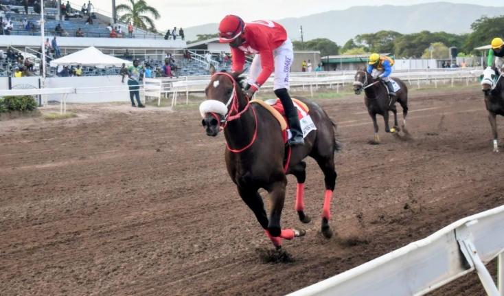 
PEPPER STEPPER, ridden by Tevin Foster, wins the Pinktober Trophy over  six and a half furlongs at Caymanas Park yesterday.
