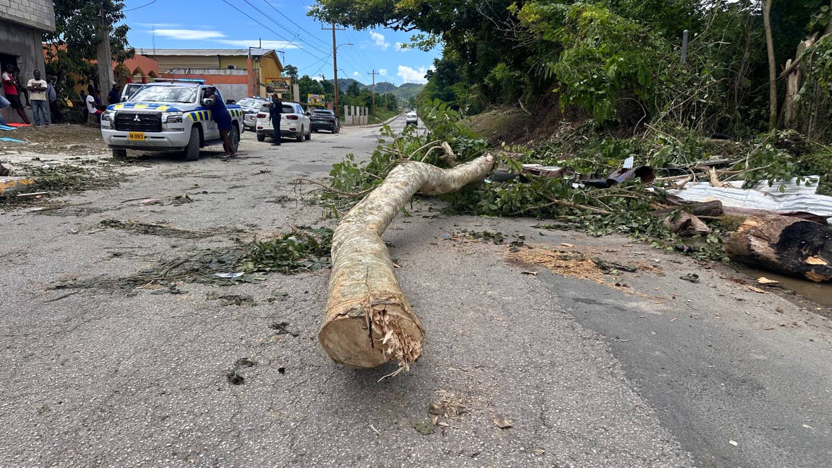 A section of the Ramble main road in Hanover was blocked on October 27, 2026, by residents protesting poor road conditions and water issues.