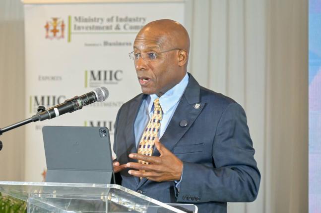 Minister of Industry, Investment and Commerce, Senator Aubyn Hill, delivering the keynote address at the launch of the Micro, Small, and Medium-sized Enterprise (MSME) Restoration Grant Programme at The Jamaica Pegasus hotel in New Kingston on October 6.